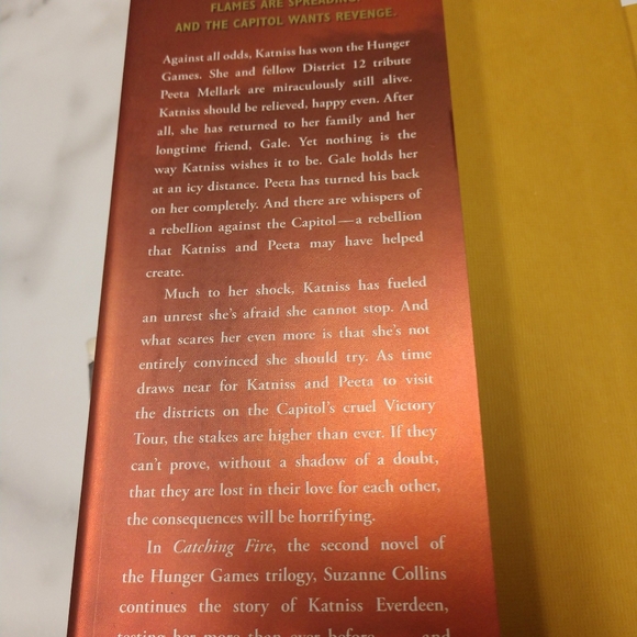 Hunger Games series by Susan Collins - Picture 4 of 4
